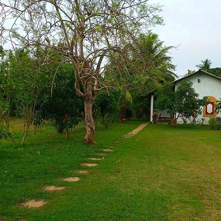 Hideaway Homestay Habarana Exteriör bild