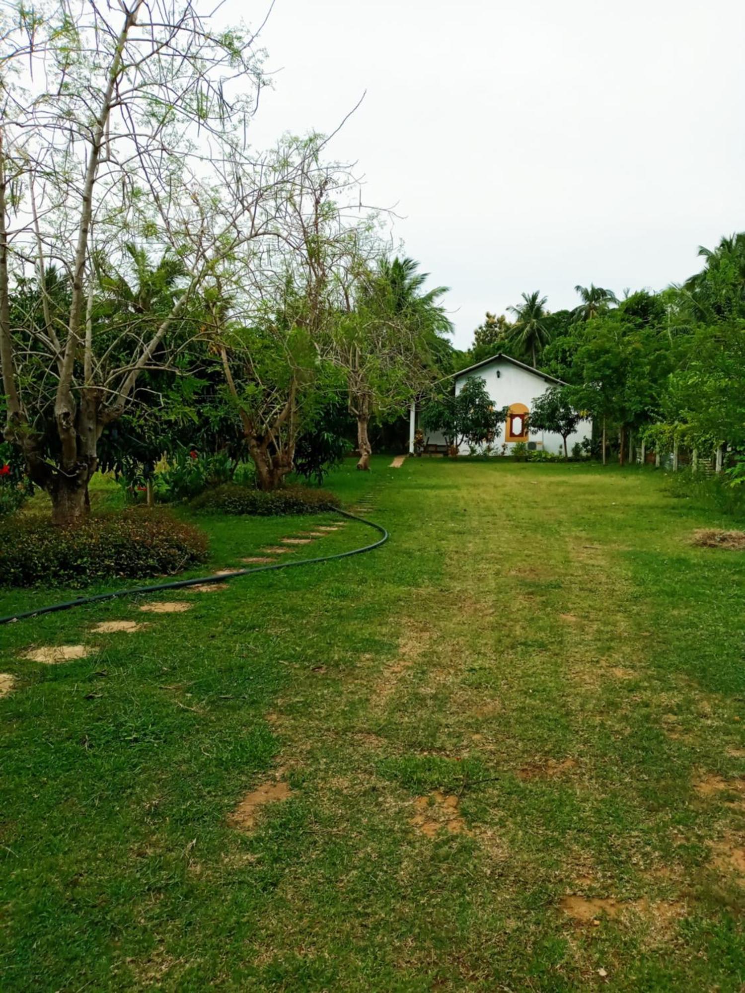 Hideaway Homestay Habarana Exteriör bild