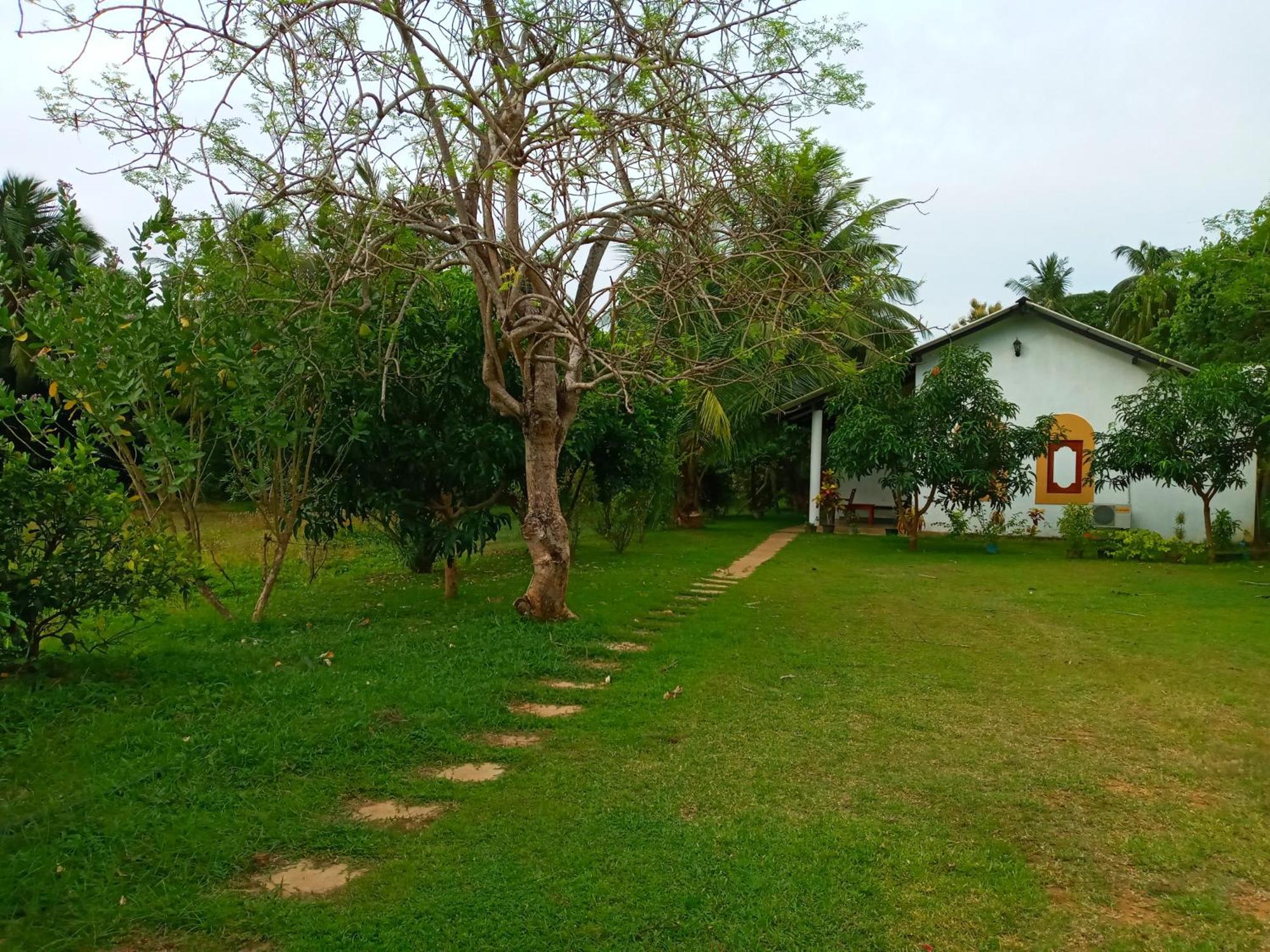 Hideaway Homestay Habarana Exteriör bild