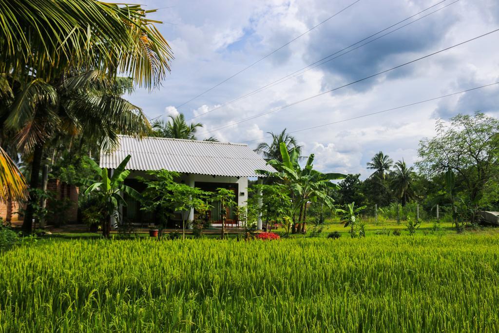 Hideaway Homestay Habarana Exteriör bild