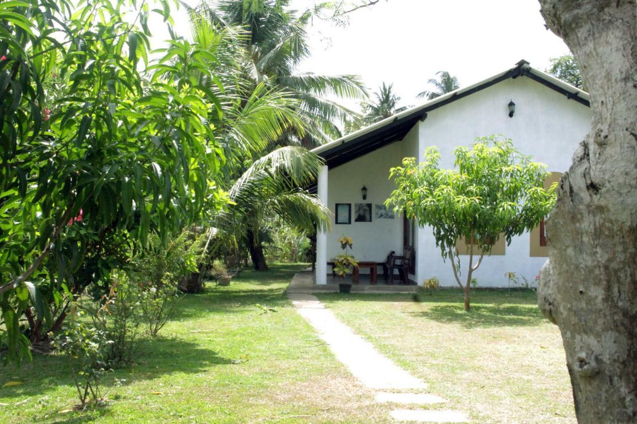 Hideaway Homestay Habarana Exteriör bild